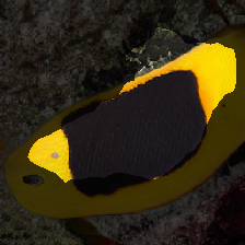 layer2-370