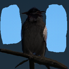 layer2-370