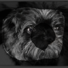 layer1-387