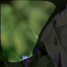 layer2-11
