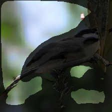 layer2-11