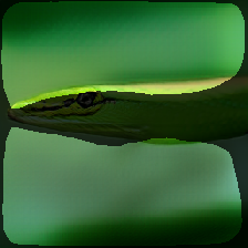 layer2-11
