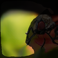 layer2-11
