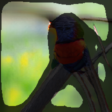 layer2-11