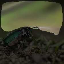 layer2-11