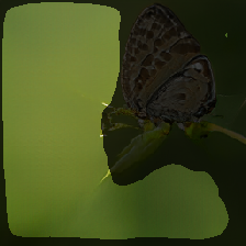 layer2-12