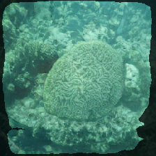 layer2-564