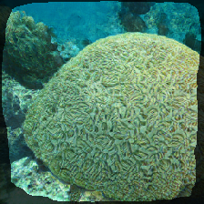 layer2-564