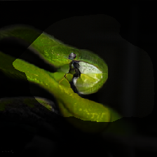 layer1-391