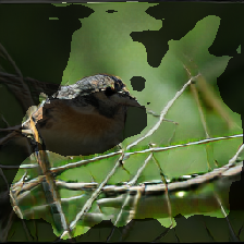 layer2-565