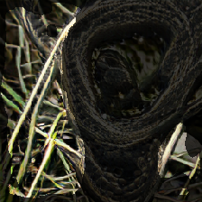 layer2-565