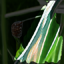 layer2-375