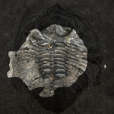 layer2-567