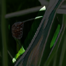 layer2-377