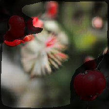 layer2-19