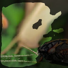 layer2-19