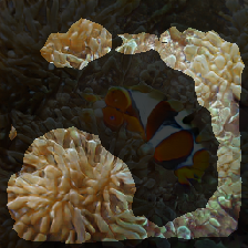 layer2-379