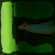 layer2-379