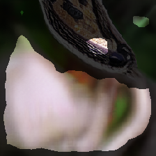 layer2-379