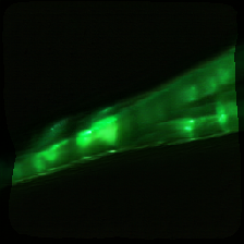 layer2-570