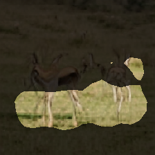 layer1-396