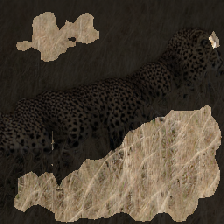layer2-20