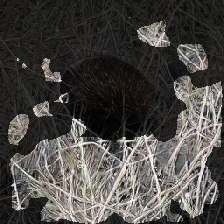 layer2-20
