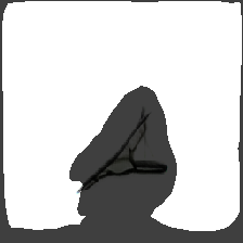 layer2-21