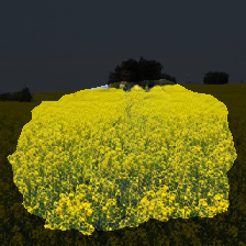 layer2-572