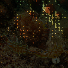 layer3-205