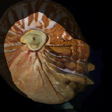 layer1-507