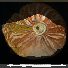 layer1-507