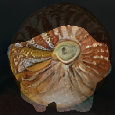 layer1-507