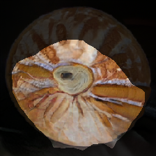 layer1-507