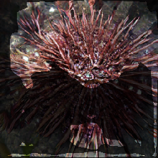 layer2-385