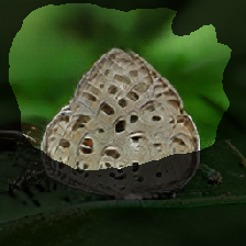 layer2-577