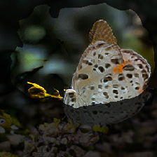 layer2-577