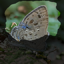 layer2-577