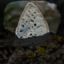 layer2-577