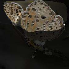 layer2-577