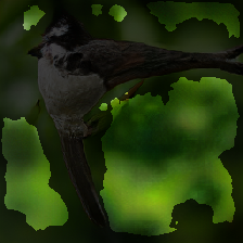layer3-210