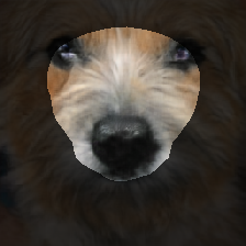 layer2-386