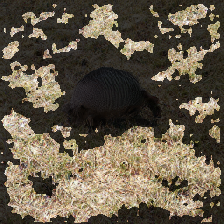 layer3-211
