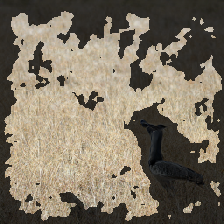 layer3-211
