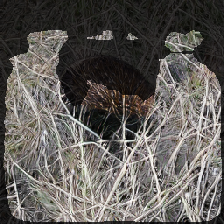 layer2-29
