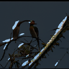 layer3-213
