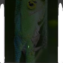 layer2-580