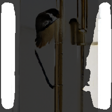 layer2-30