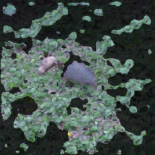 layer3-214