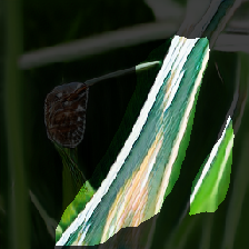 layer2-388